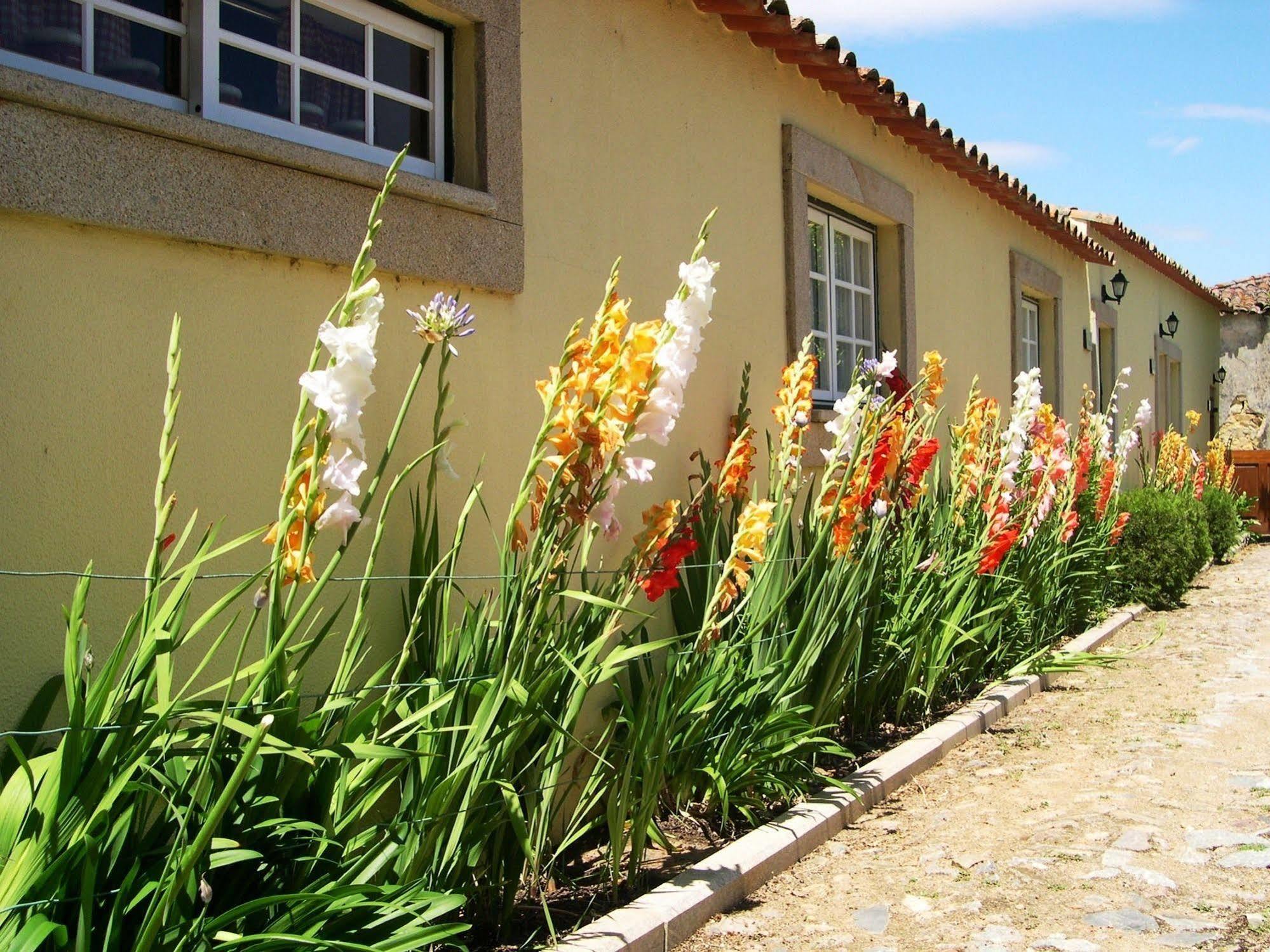 Hospedaria Do Convento D'Aguiar- Turismo De Habitacao Figueira de Castelo Rodrigo Exterior foto